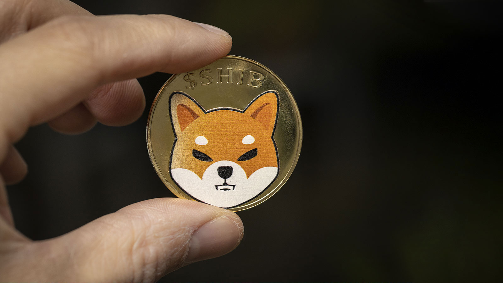 CoinStats Shiba Inu SHIB Ecosystem Token Spikes 5