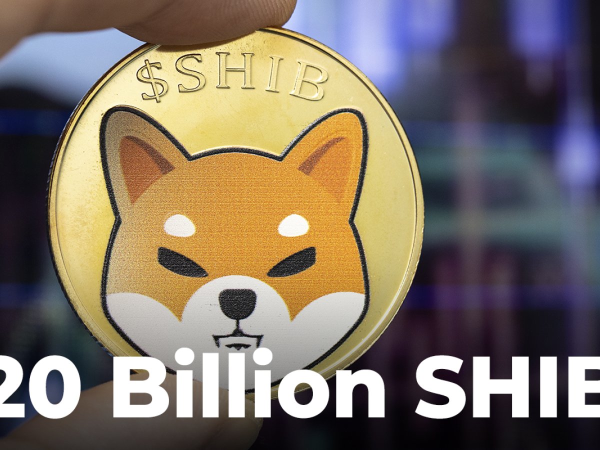 Shiba Inu Burn Portal Records More Than 20 Billion SHIB Burned Less