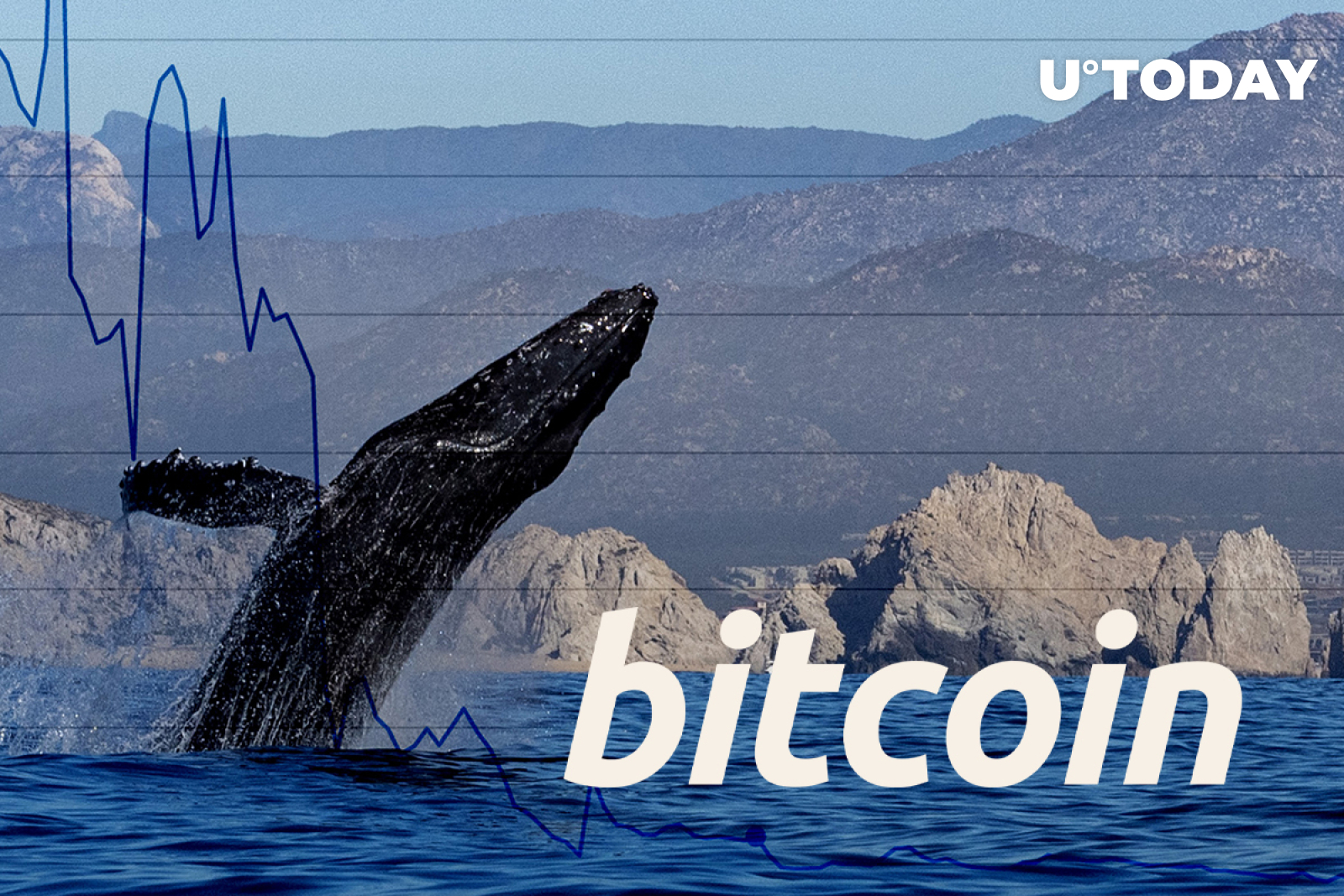 Over Million Bitcoins Transferred By Anonymous Whales In Large Lumps