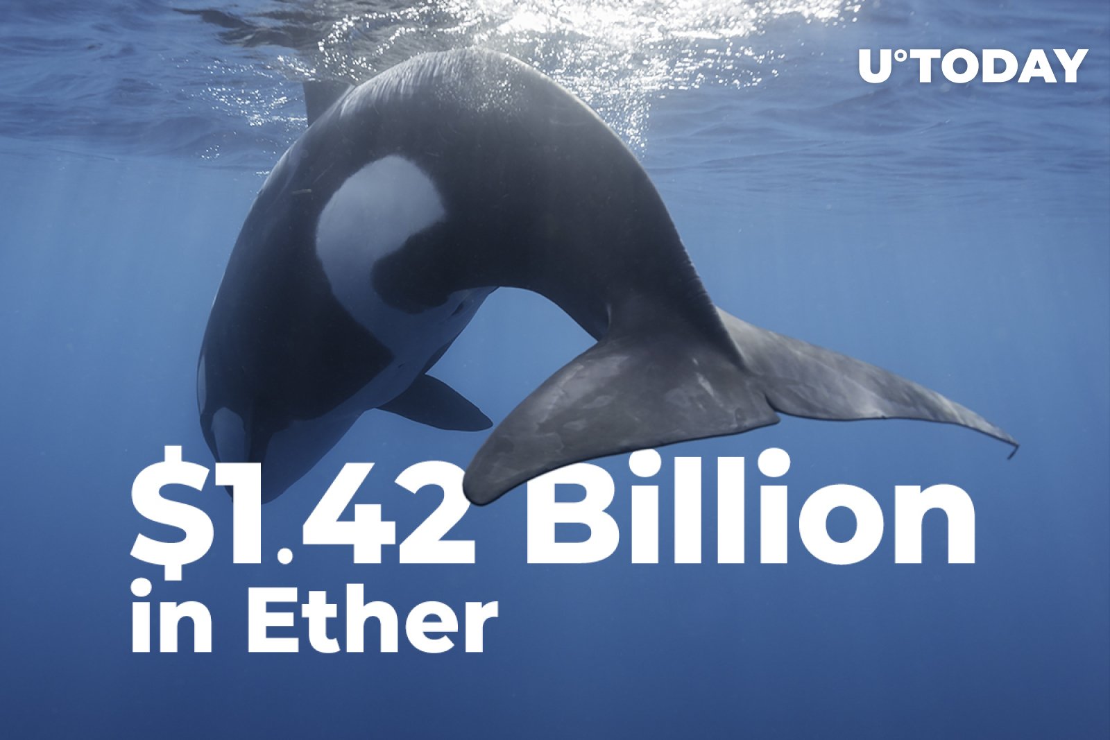 Whales Shift 1 42 Billion In Ether As ETH Trades Above 4 000