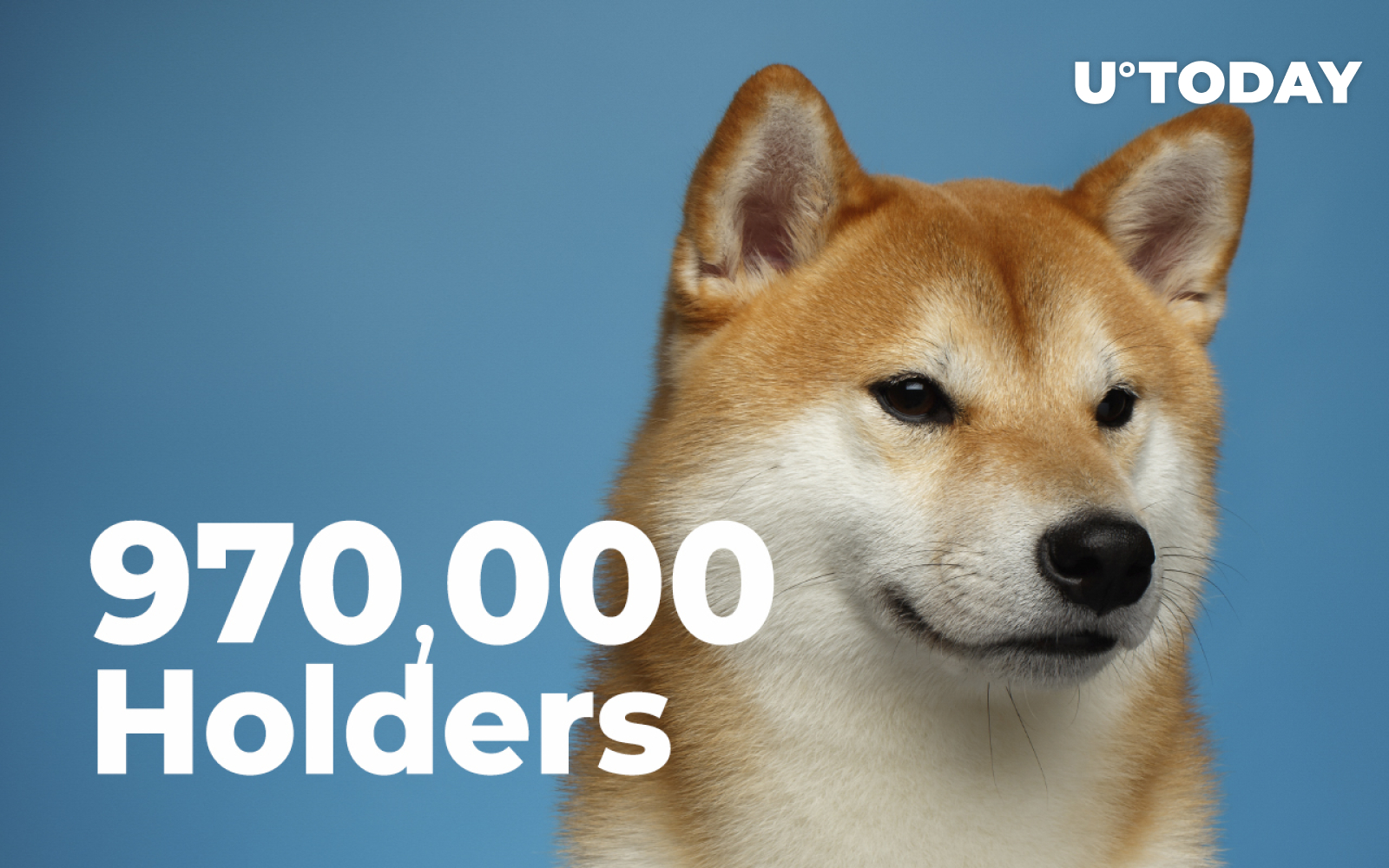 Shiba Inu Passes New Record Of 970 000 Holders