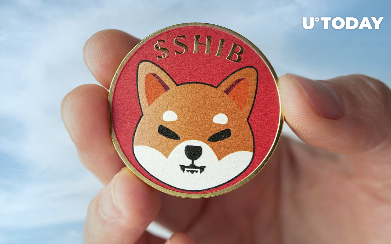 Shiba Inu Reaches New Milestone By Gaining More Holders