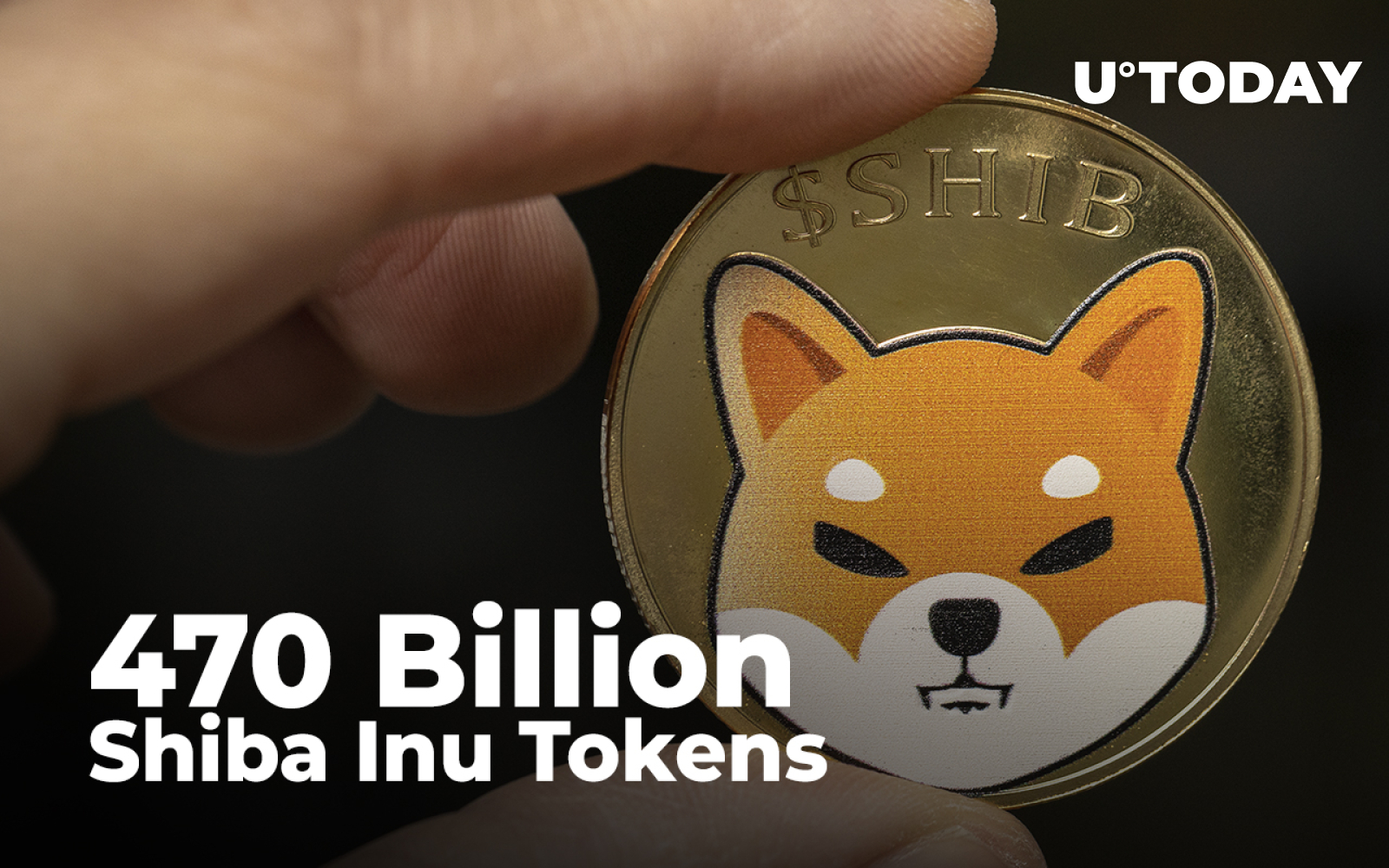 Billion Shiba Inu Tokens Grabbed By Whales Who Now Own Trillion