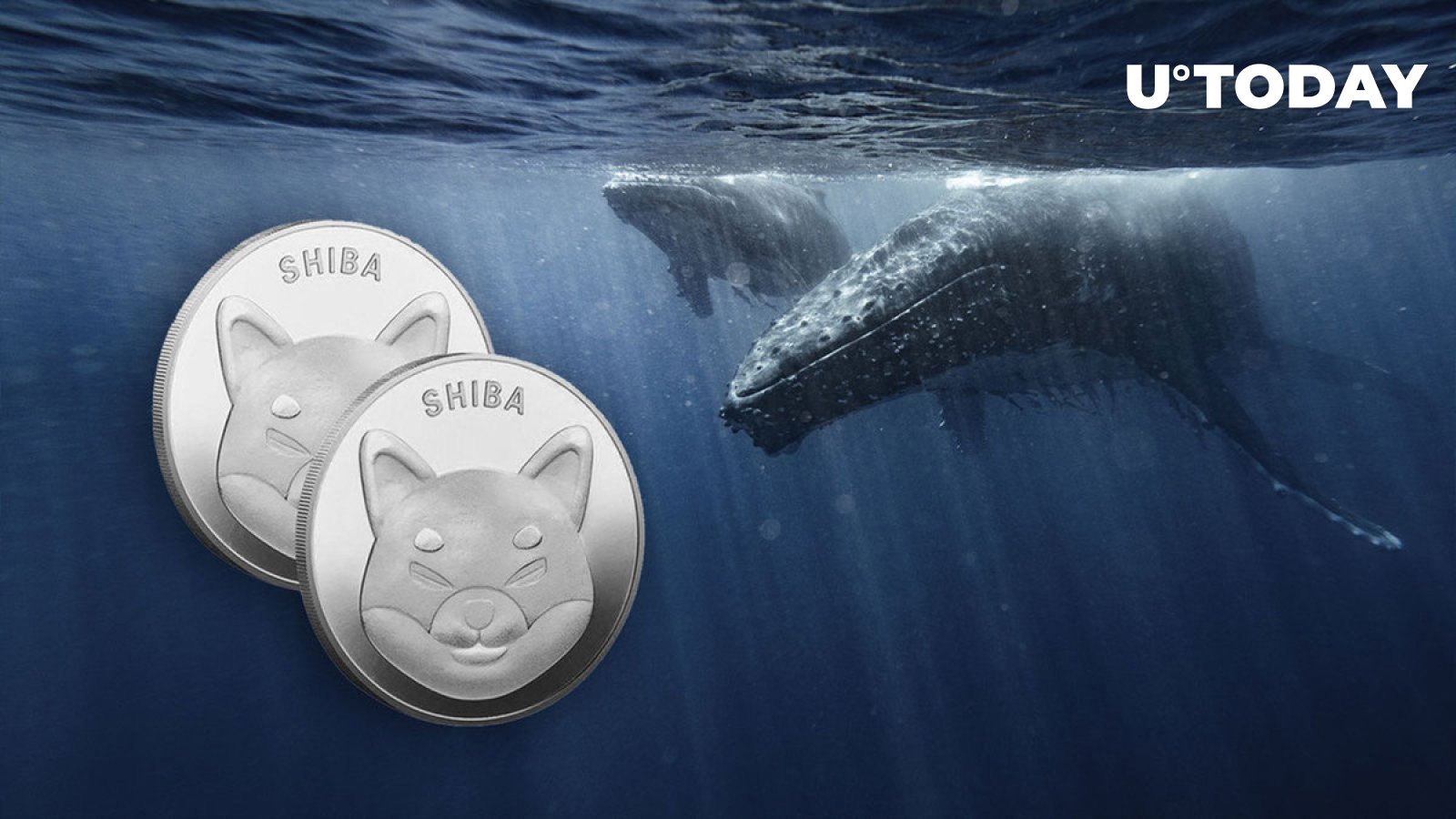 Billion Shiba Inu Grabbed By Whales As Shib Utility Keeps Growing