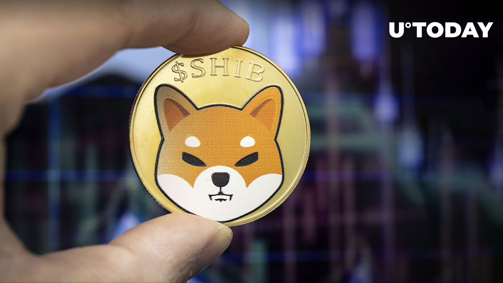 Half Trillion Shiba Inu Shib Outflows As Shibarium Faces Uncertainty