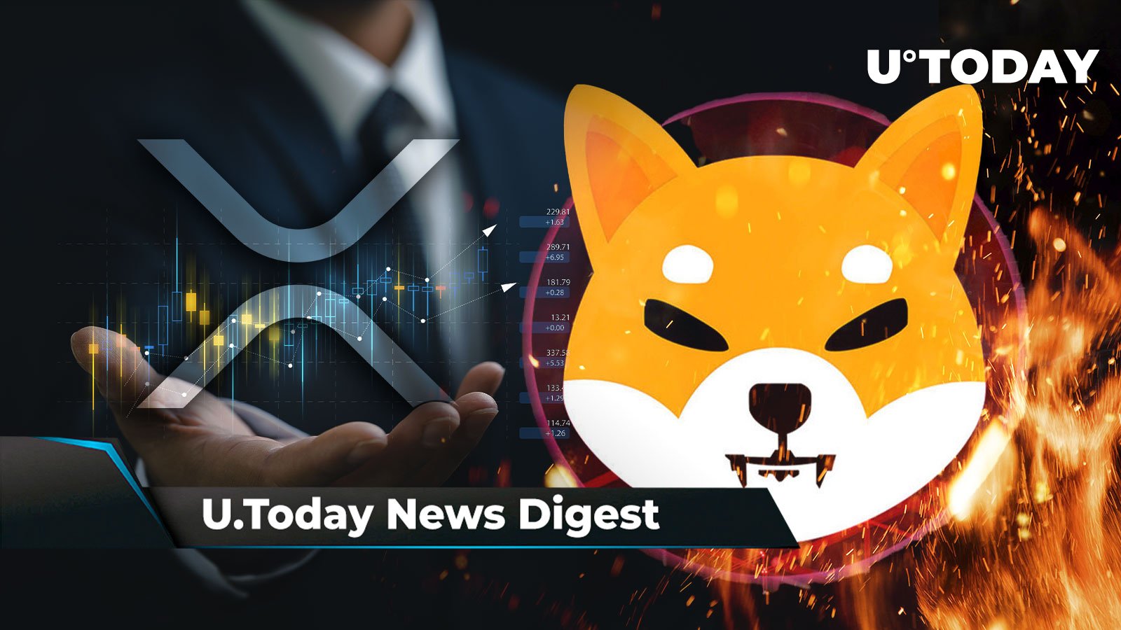 Shiba Inu Coming To Canada With Major Partnership Xrp Tops After