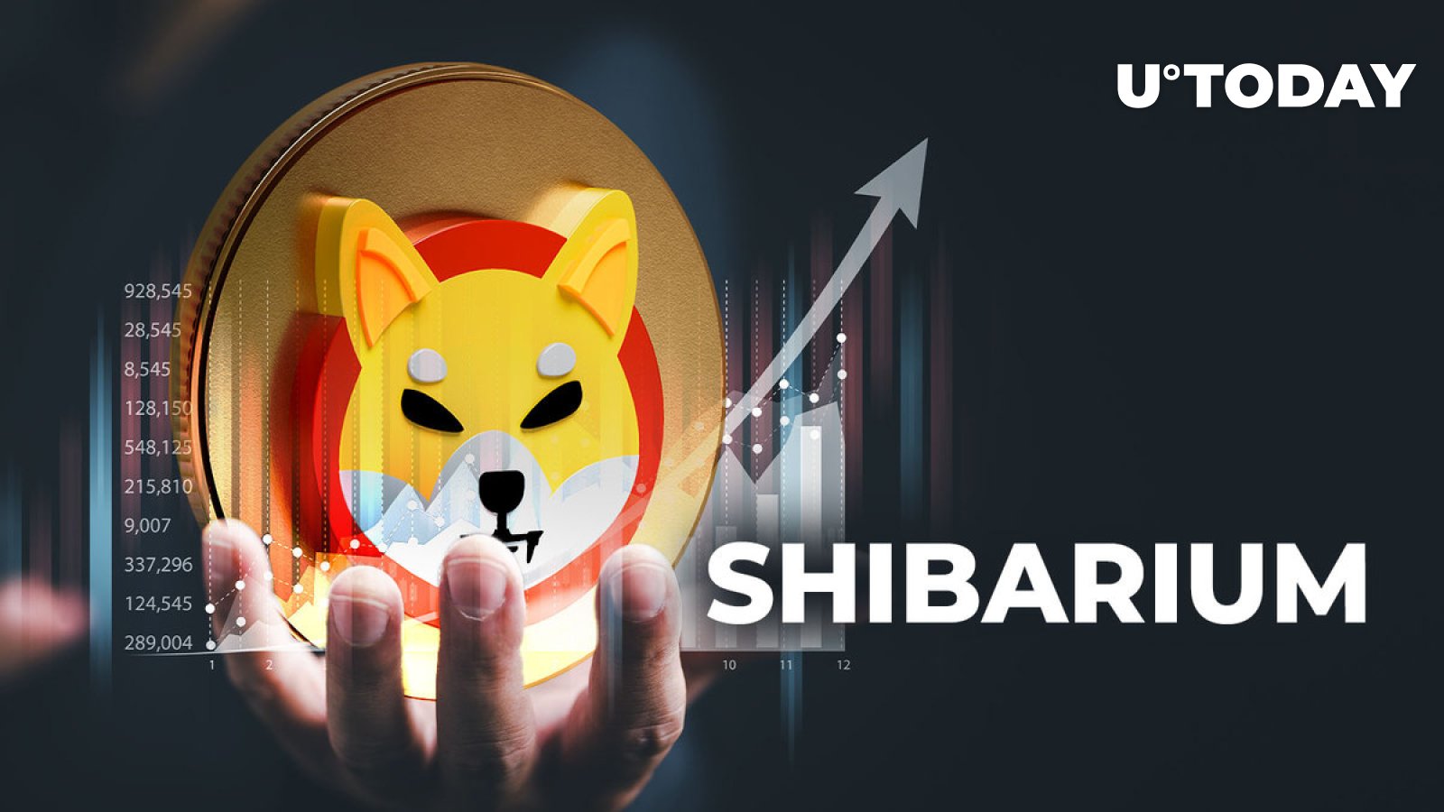 Shiba Inu SHIB Surpasses 4 490 Other Coins While Shibarium Hits New