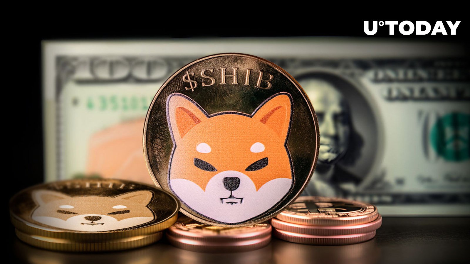 Shiba Inu SHIB Witnesses Unusual 40 Million Transaction Activity For