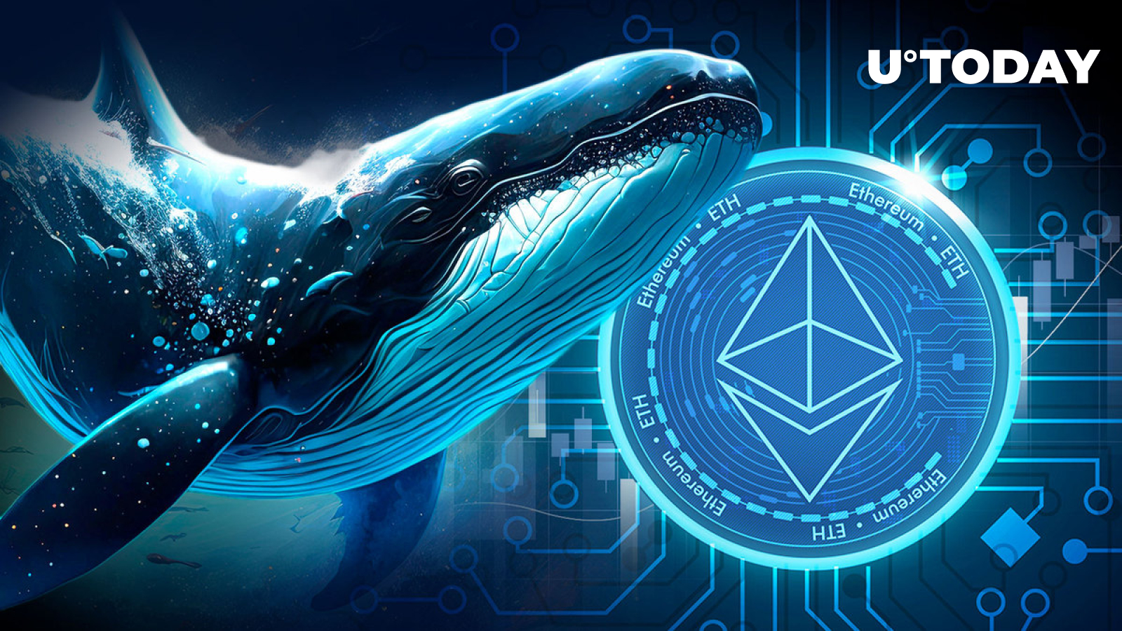 Ethereum Eth Bullish Whales Coming Back With Enormous Longs