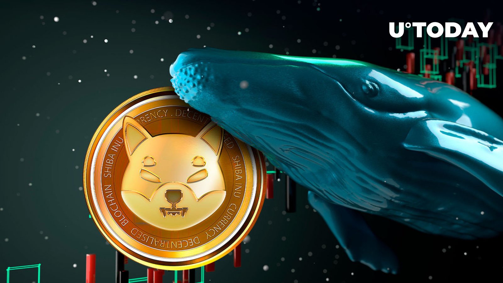 Shiba Inu Key Metric Skyrockets By As Shib Whales Return