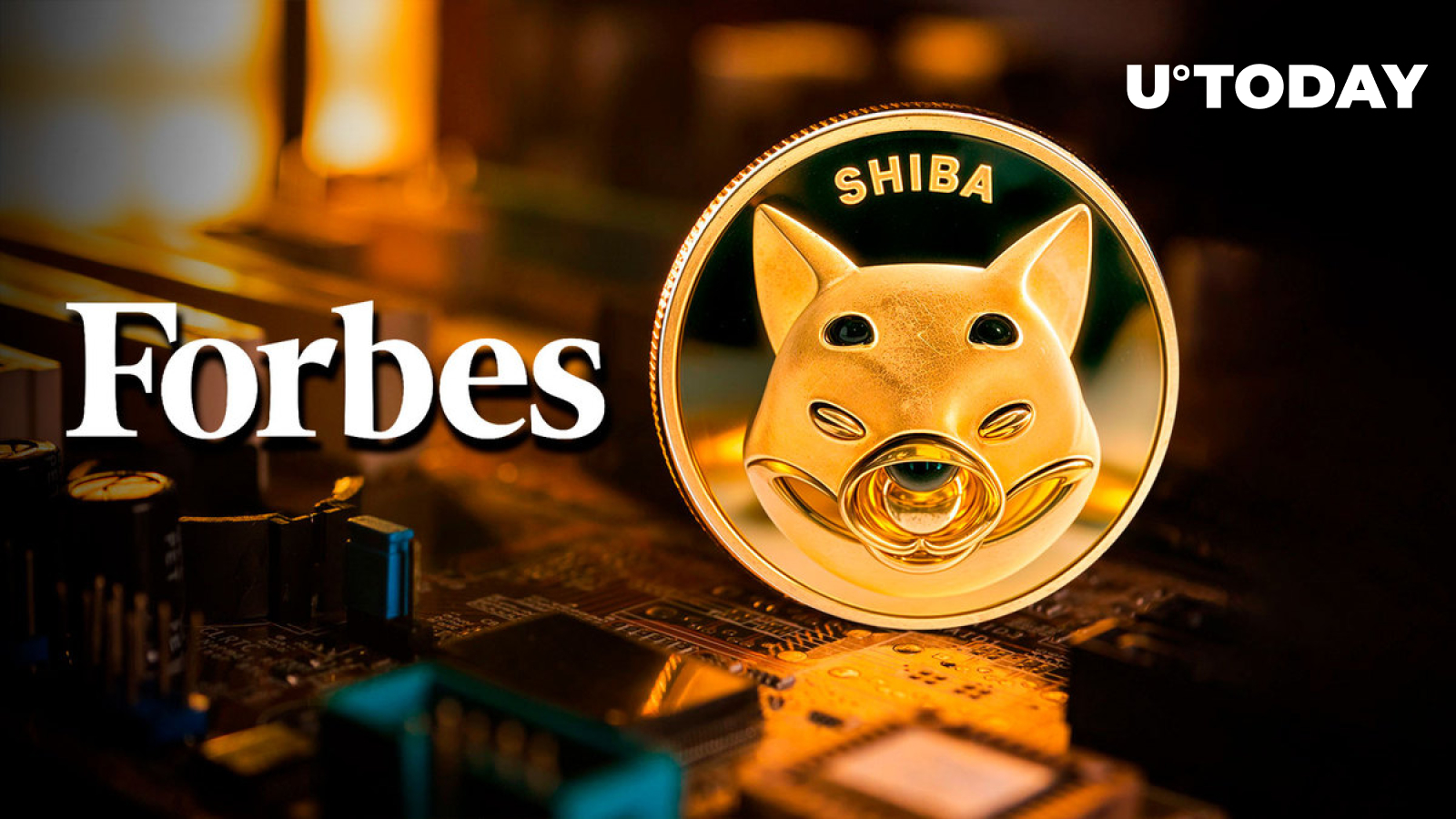 Shib Praised By Forbes As Beyond Cute Shiba Inu Executive Reacts