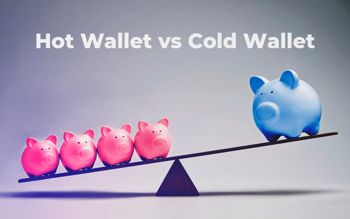 Hot Wallet vs. Cold Wallet: What the Different Storage Methods Do