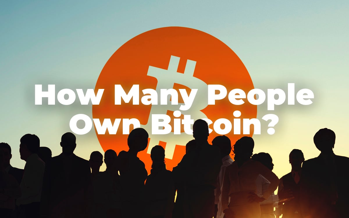 How Many People Own Bitcoin and How They Use BTC?