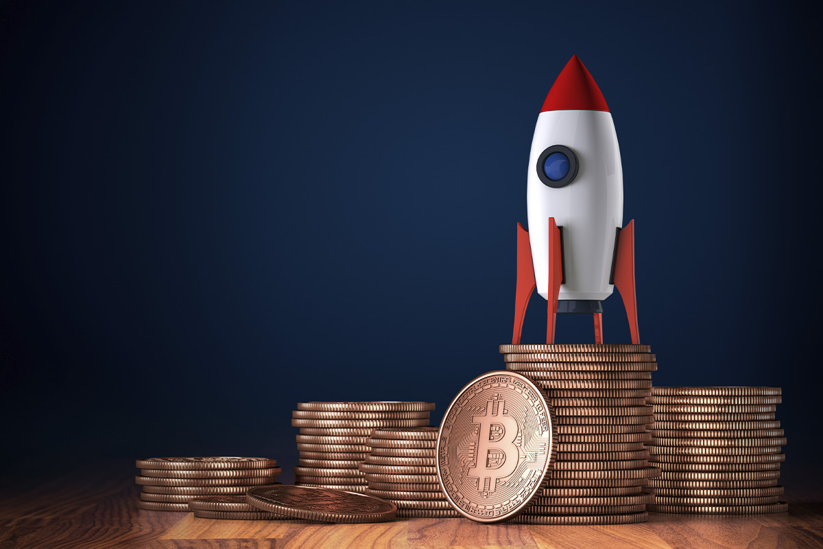 Bitcoin Entities Growth Hits New All-Time High: Report