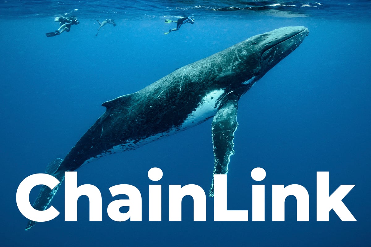 ChainLink Whales Are Not Willing To Hold Coins: Here's Why