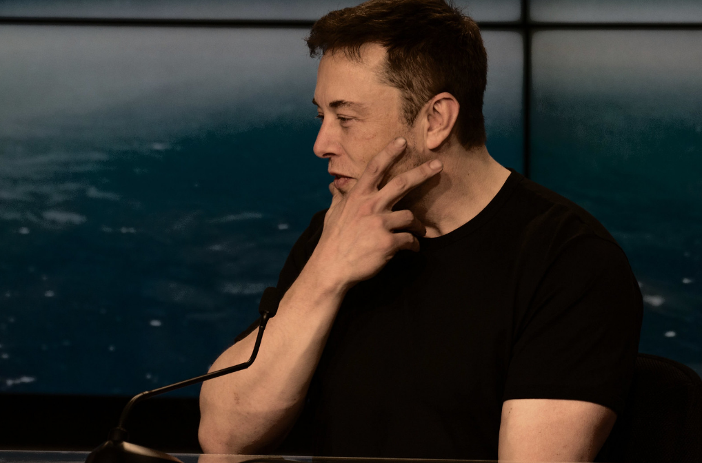 Elon Musk Praises Dogecoin-Trading Hamster for Outperforming Warren Buffett