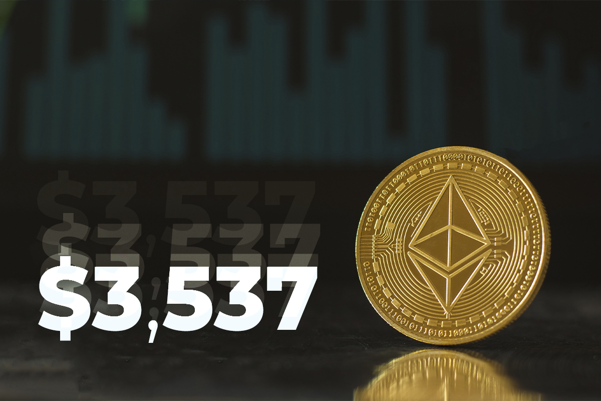 Ethereum Charges Back to $3,537 As Top 10 Largest Wallets Skyrocket in ETH Supply: Santiment Data