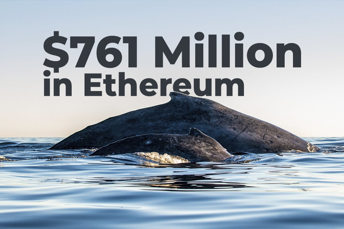 Whales Move $761 Million in Ethereum, While Coin Recovers to $3,500