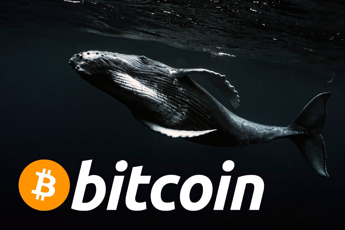 Here's the First Sign Of Whales Selling Their Bitcoin Holdings