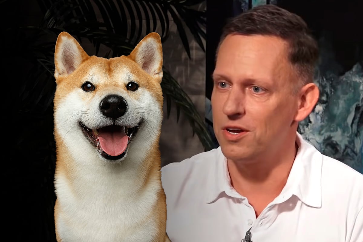 Dogecoin Rival Shiba Inu Starts Trading on Peter Thiel-Backed Cryptocurrency Exchange