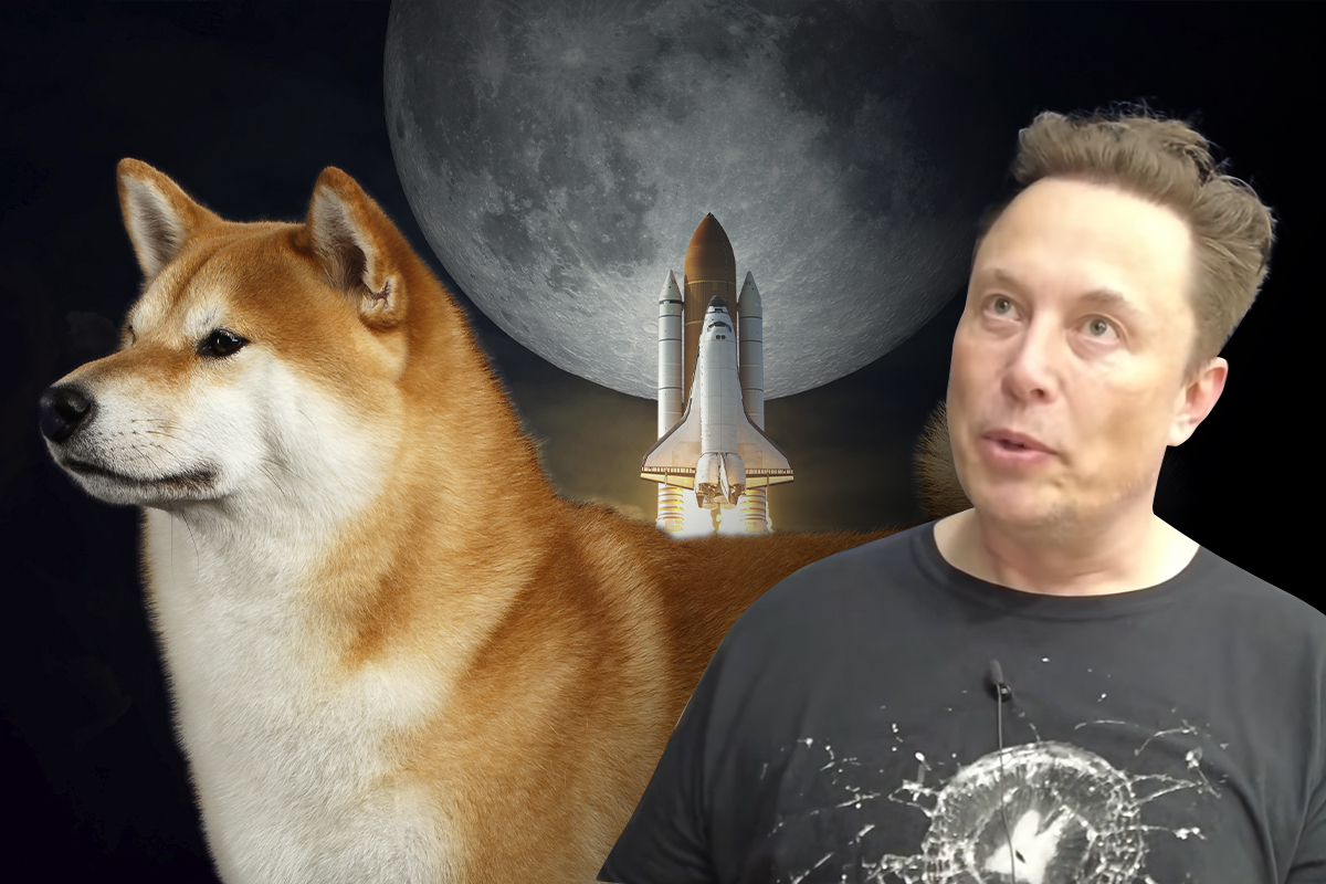 Elon Musk Laughs at Edward Snowden's Tweet Series about SHIB and Dogecoin |  u.today