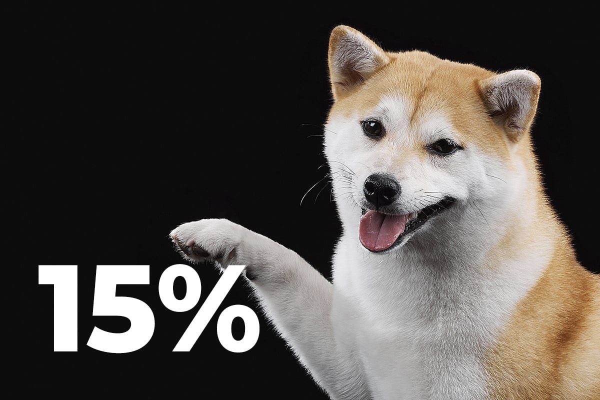 Shiba Inu Faces 15% More Buys Than Sells With 78% Holders Staying In Profit
