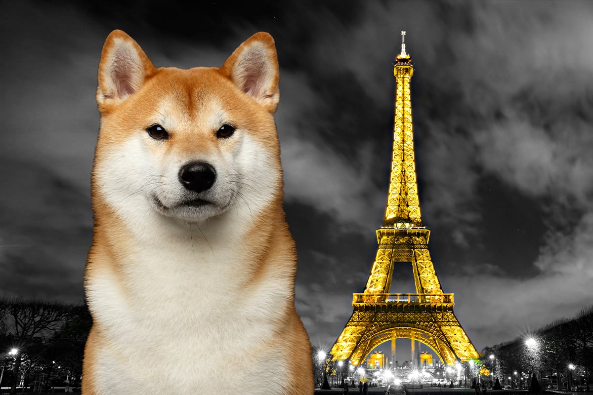 Shiba Inu Now Accepted by Restaurant in Paris