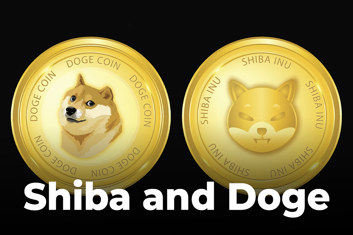 Shiba and Doge Became Two Most Popular Topics In Community, That’s Why Volatility Might Hit Market