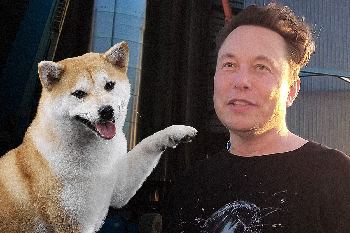 Elon Musk’s Shiba Inu Floki Picture Brings Over 90,000 Tweets Around