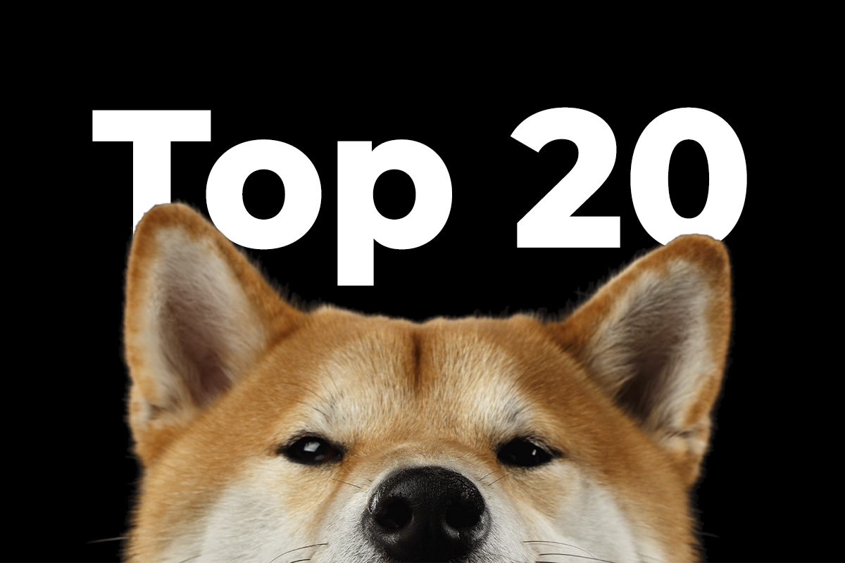 Shiba Inu Breaks Into Top 20 Amid Explosive Price Rally