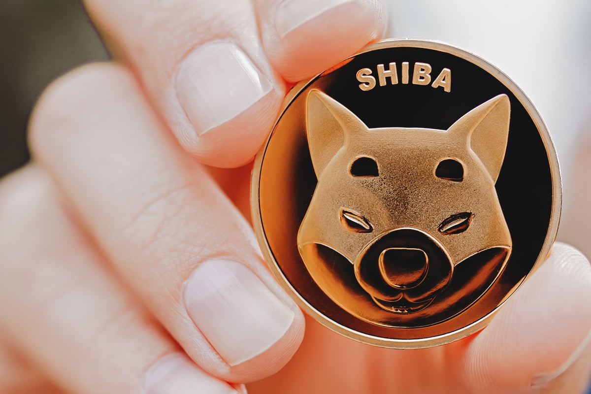 SHIB Is Shacking Crypto Market With Disruptive 370% Rise, Bloomberg Reports