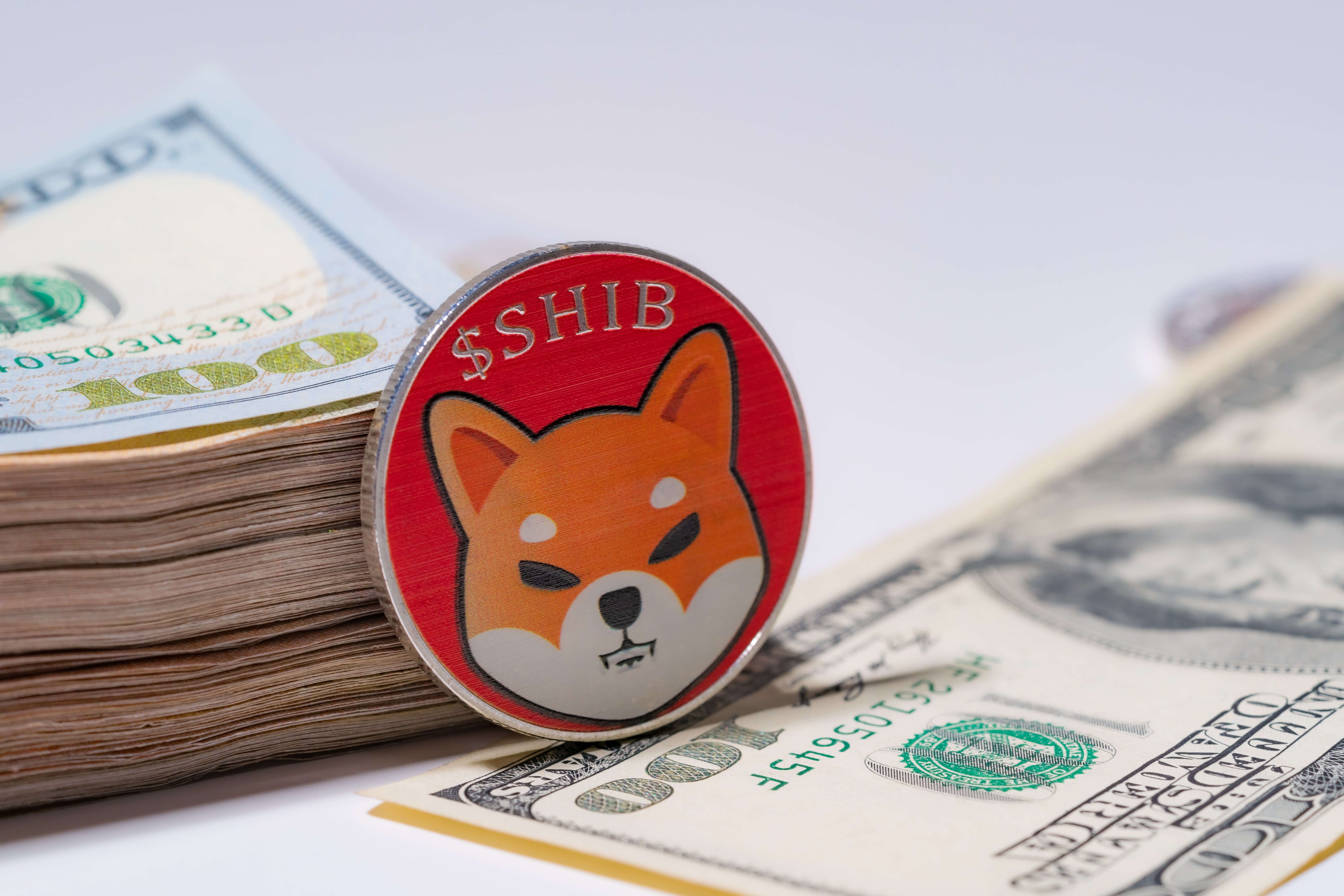 Shiba Inu Surges 70 Percent, Outperforming Dogecoin