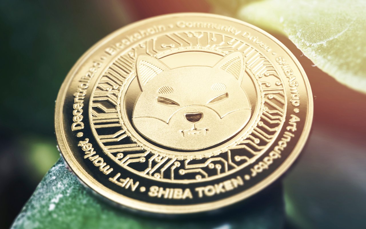Here's When Shiba Inu Will Be Added to AMC’s Crypto Payment Lineup