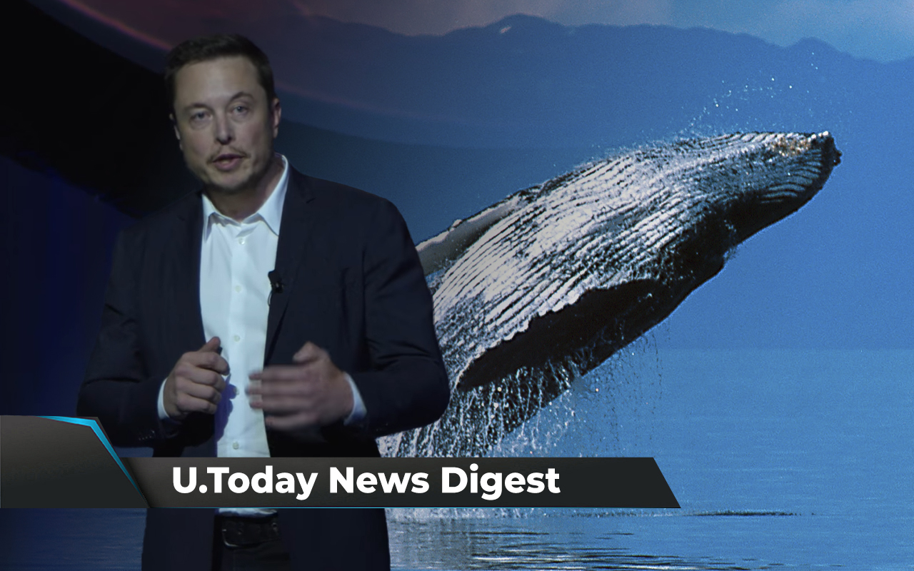 Musk Wants to Be Dogecoin’s Fake CEO, ETH Whale Grabs 153 Billion SHIB, Shiba Inu Times Square Ad Is Fake: Crypto News Digest by U.Today
