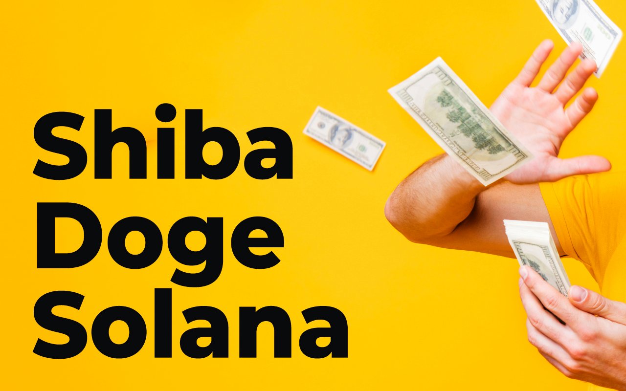 Here's How Much $1,000 Invested In Shiba, Doge or Solana Year Ago Would Worth Now