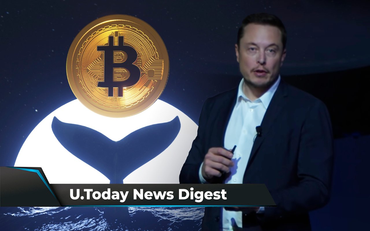 Musk Loses DOGE Market Cap in One Day, 51% SHIB Supply Holder Revealed, BTC Whale Turns $249K into $150 Million: Crypto News Digest by U.Today