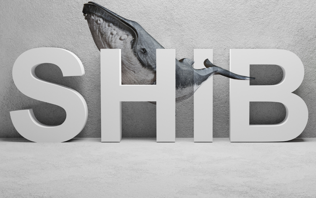 SHIB Whales Bought 20 Billion Tokens Each During Dip