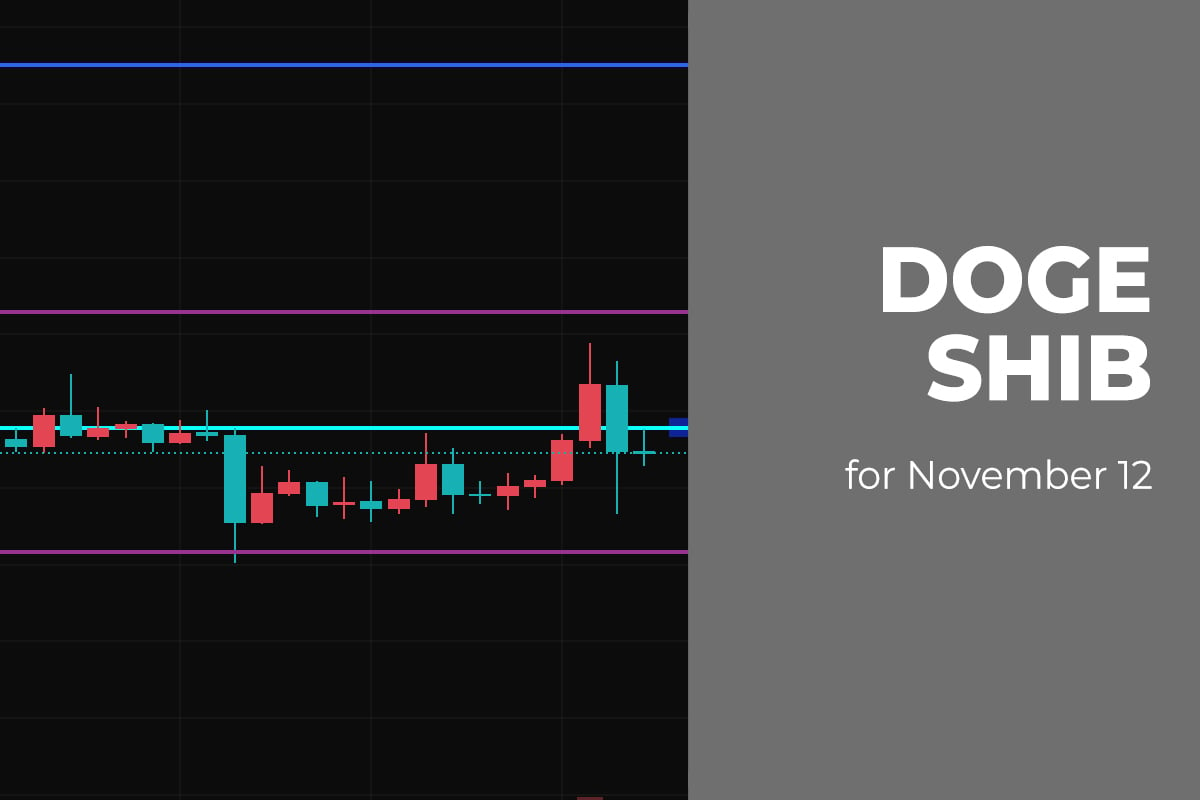 DOGE, and SHIB Price Analysis for November 12