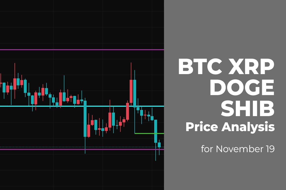 BTC, XRP, DOGE and SHIB Price Analysis for November 19