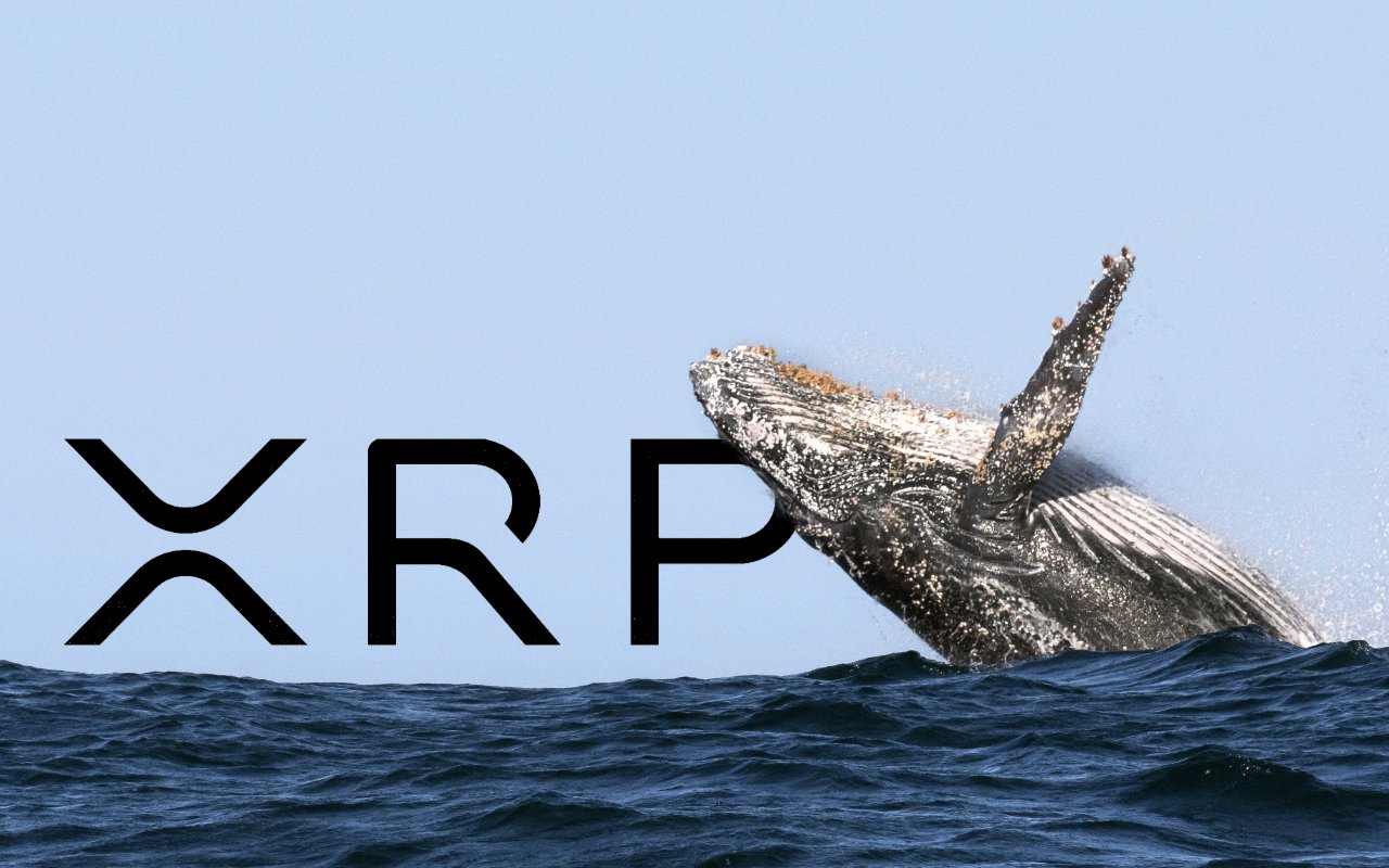 XRP Whale Withdraws 10 Million Coins From Exchange