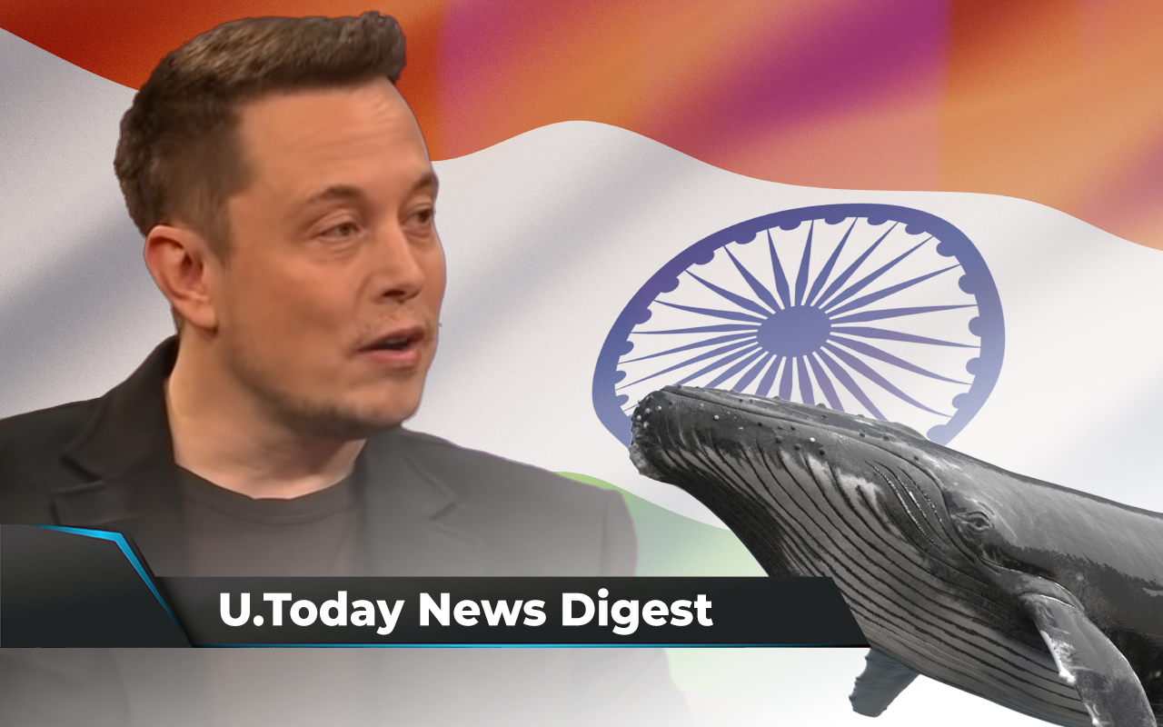 Musk Calls Out Binance CEO over DOGE, India to Ban Almost All Cryptos, SHIB Whale Buys $36 Million Worth of Tokens: Crypto News Digest by U.Today