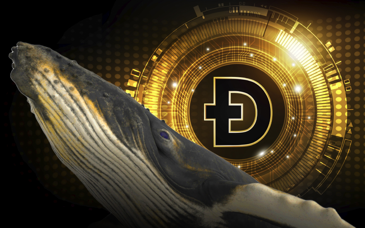 Whales Are Buying Dogecoin According To Smart-Contract Activity