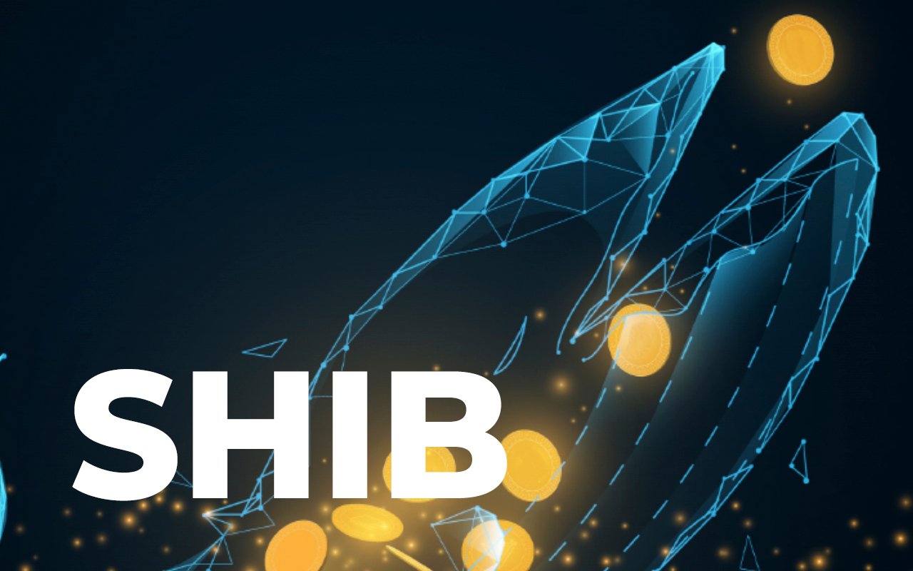 Shiba Inu Whales Added 42% More SHIB To Their Wallets In Last 24 Hours