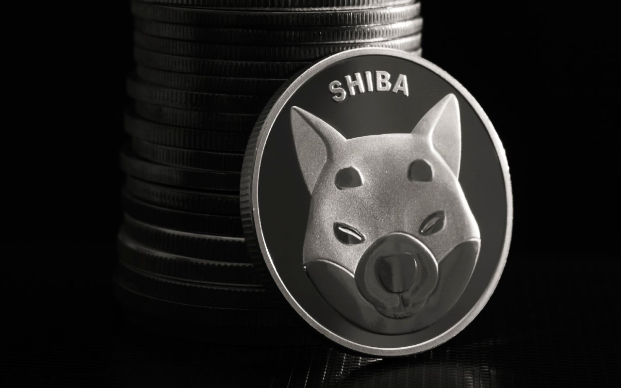 Shiba Inu Faces 5% Correction After Spiking For 40%, But Fundamental Growth Is Still In