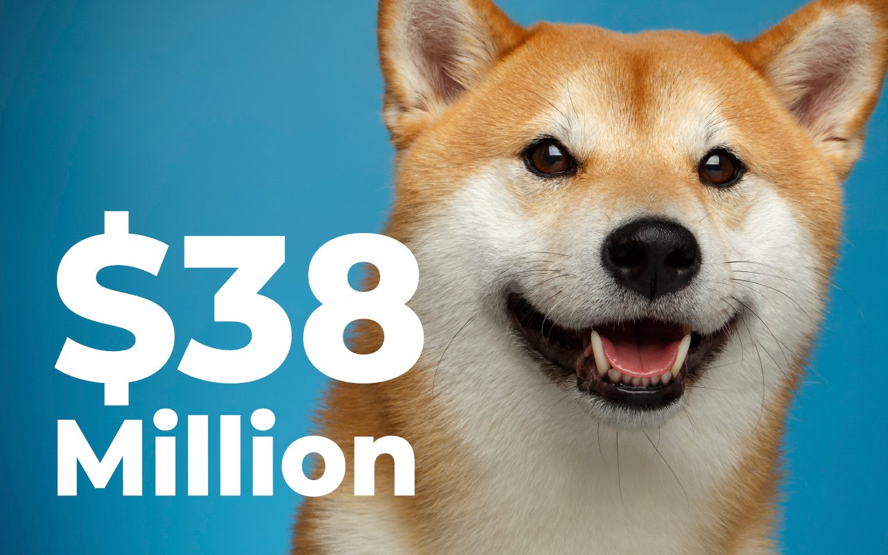 New Shiba Whales Buys $38 Million Worth of Tokens