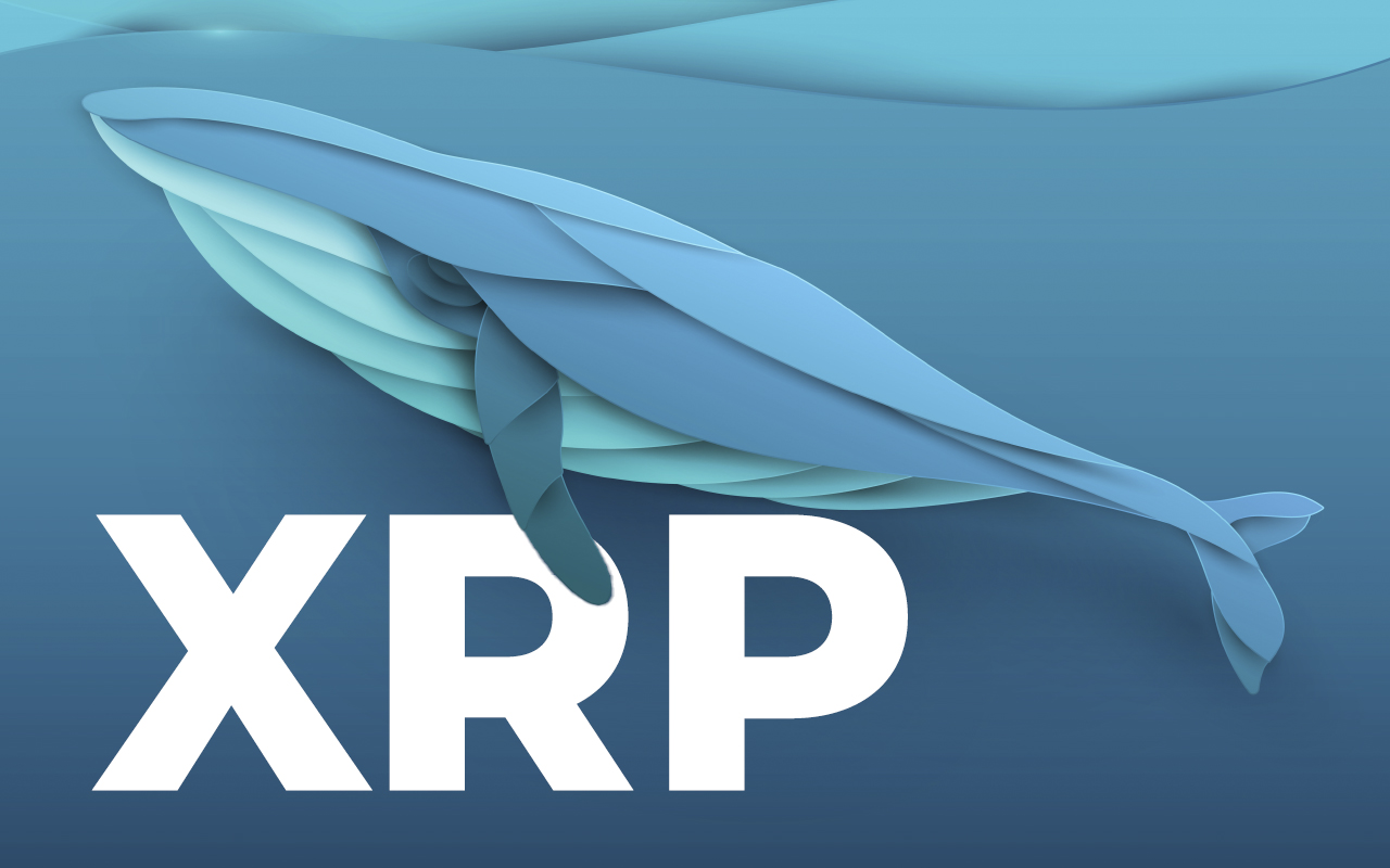 XRP Whale Withdraws 150 Million Coins From Binance