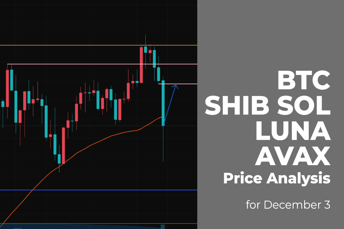 BTC, SHIB, SOL, LUNA, and AVAX Price Analysis for December 3