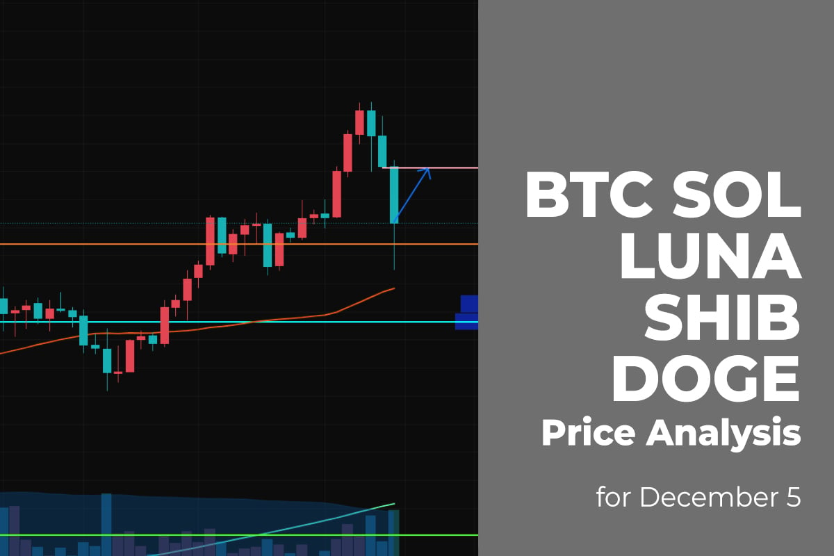 BTC, SOL, LUNA, SHIB, and DOGE Price Analysis for December 5