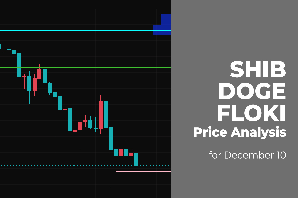 SHIB, DOGE, and FLOKI Price Analysis for December 10