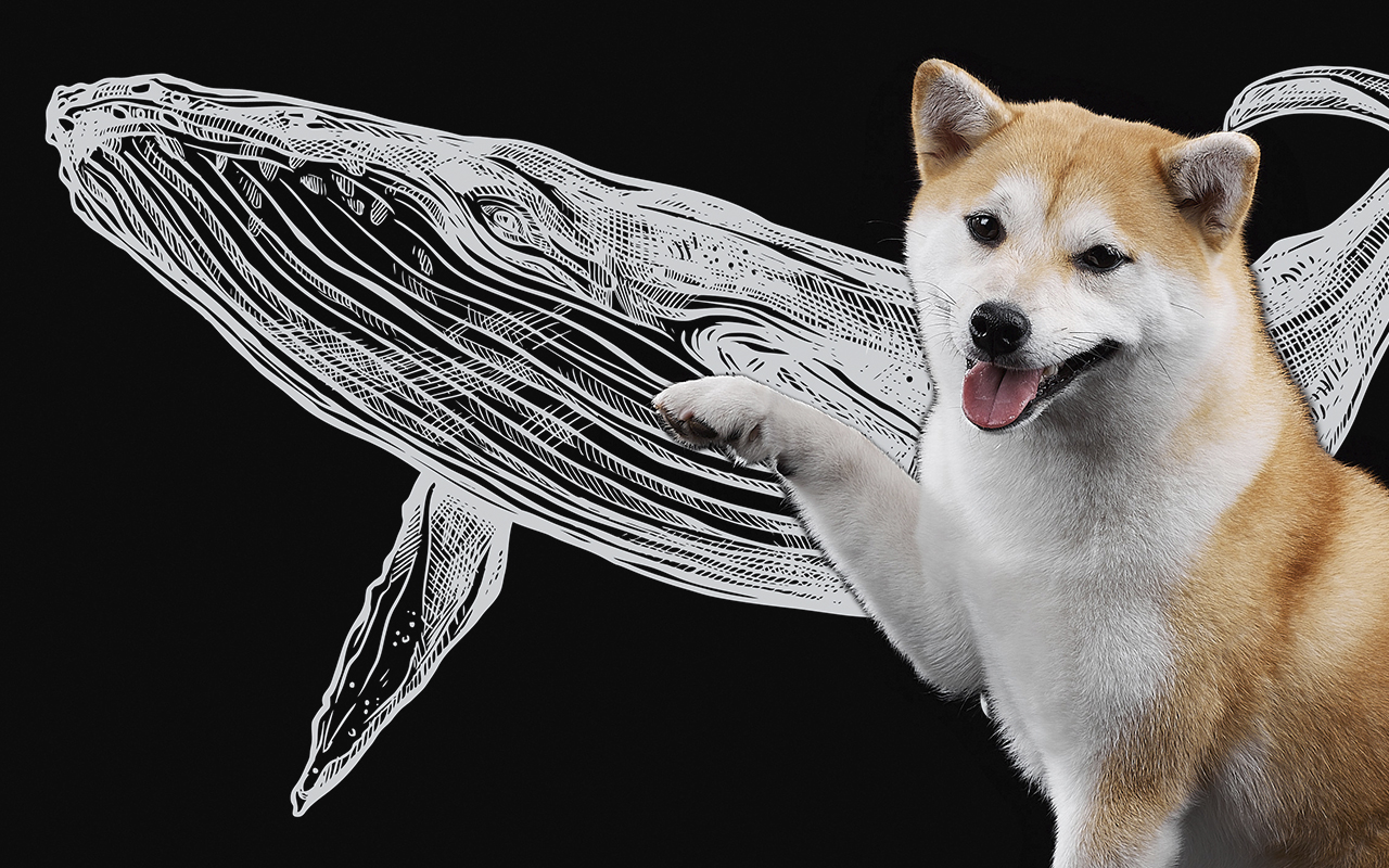 SHIB Whale That Already Holds $1.2 Billion Worth of Tokens Buys Even More